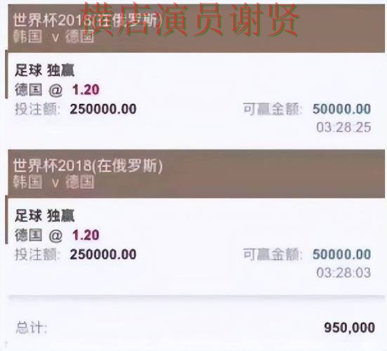 世界杯投注平台实测对比报告：直播入口与实际体验总结 - 世界杯官方信息